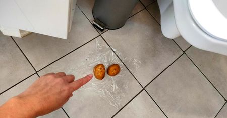 Przekrój i połóż na podłodze w łazience na jedną noc