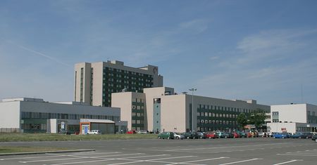 Rybnik: trzy przypadki świńskiej grypy. Jeden ze szpitalnych oddziałów zamknięty