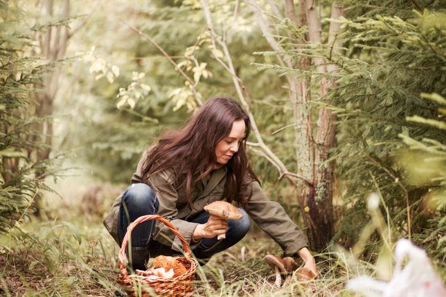 Young woman gathers mushrooms in the forest. 