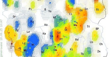 Gdzie na grzyby? Oto grzybowa mapa Polski