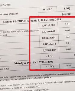 Sprawdziliśmy, czy w polskich truskawkach są pestycydy. Wyniki zaskakują