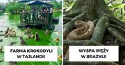 10 najbardziej niebezpiecznych miejsc odwiedzanych przez turystów