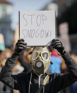 Koziński: Strajk klimatyczny ma silny wydźwięk polityczny. Kto na nim zyska? (Opinia)