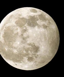 Pełnia księżyca na waszych zdjęciach. "Wilczy Księżyc" skradł nasze serca