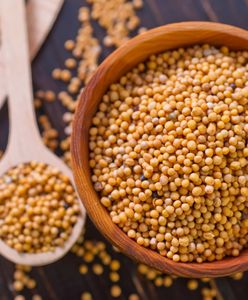 Salmonella w gorczycy. GIS ostrzega