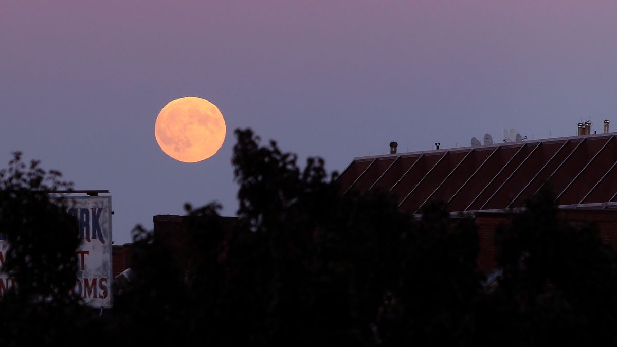 performs onstage during day three of the Boston Calling Music Festival at Boston City Hall Plaza on September 27, 2015 in Boston, Massachusetts.