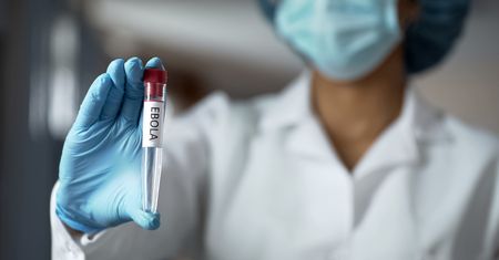 Ebola znów atakuje. Wykryto przypadki zachorowań.