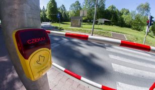 Dyskryminacja pieszych w Warszawie. Chcą usunąć żółte przyciski na przejściach dla pieszych
