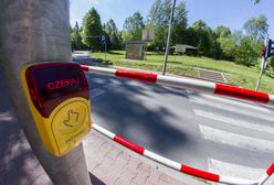 Dyskryminacja pieszych w Warszawie. Chcą usunąć żółte przyciski na przejściach dla pieszych