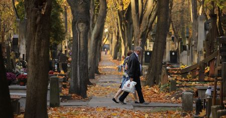 Warszawa. Prognoza pogody na Wszystkich Świętych. Będzie słonecznie i zimno