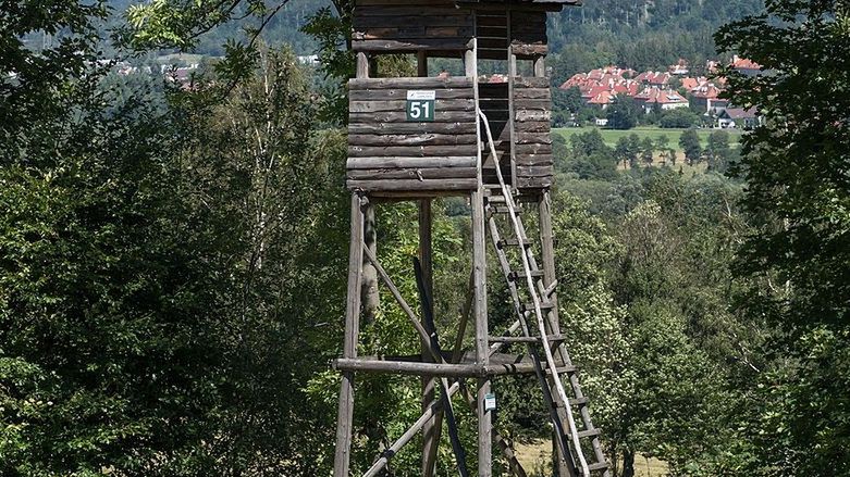 Ktoś poprzewracał ambony do polowań