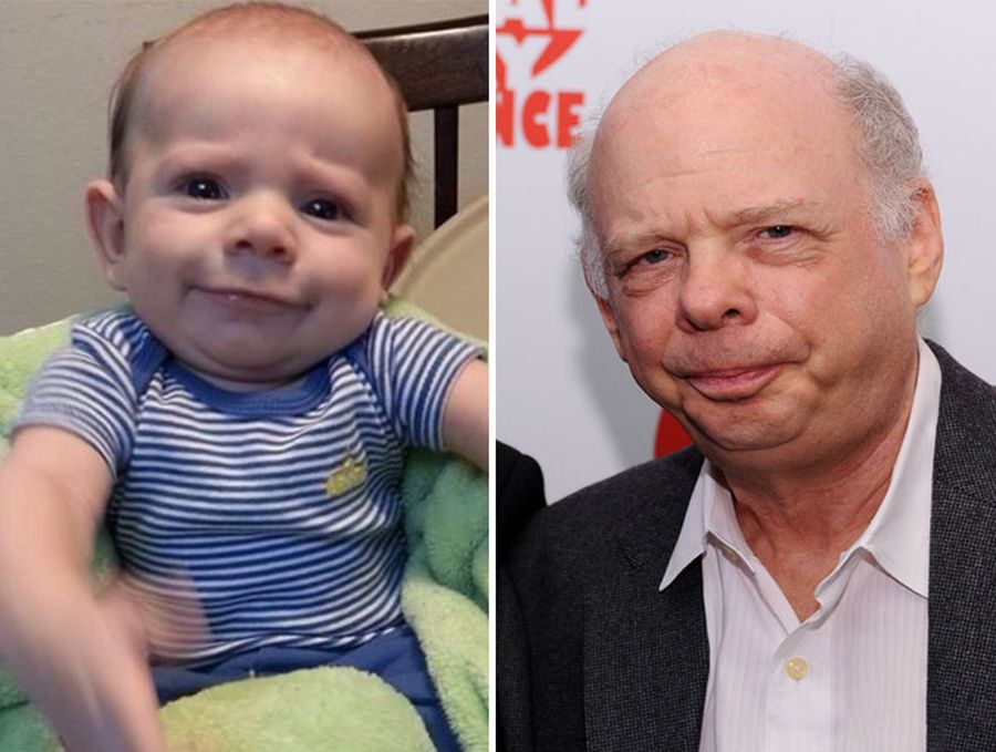 Wallace Shawn