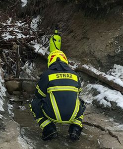 Wyciek oleju do Bałtyku koło Mielna. Służby wiedzą, kto jest sprawcą