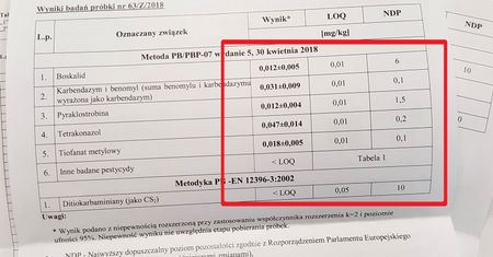 Sprawdziliśmy, czy w polskich truskawkach są pestycydy. Wyniki zaskakują