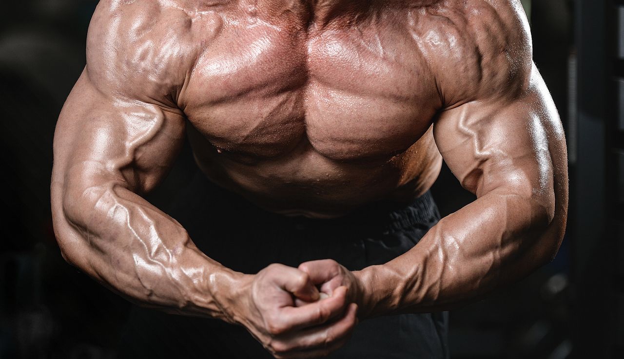 Lata dopingu zrobiły swoje. Lekarze nazwali ich "bestiami" i trzymają pod kluczem