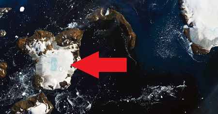 Antarktyda topi się szybciej, niż sądzili naukowcy. NASA pokazuje niepokojące zdjęcia