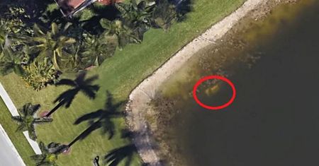 Szczątki człowieka zaginionego 20 lat temu odnalezione dzięki Google Maps