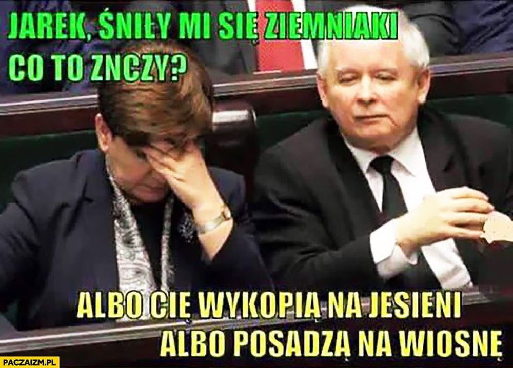 Sny mówią prawdę