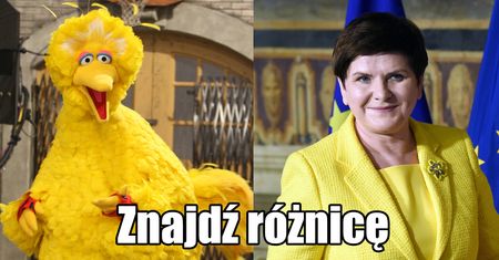 Beata Szydło na żółto. Internauci mają używanie