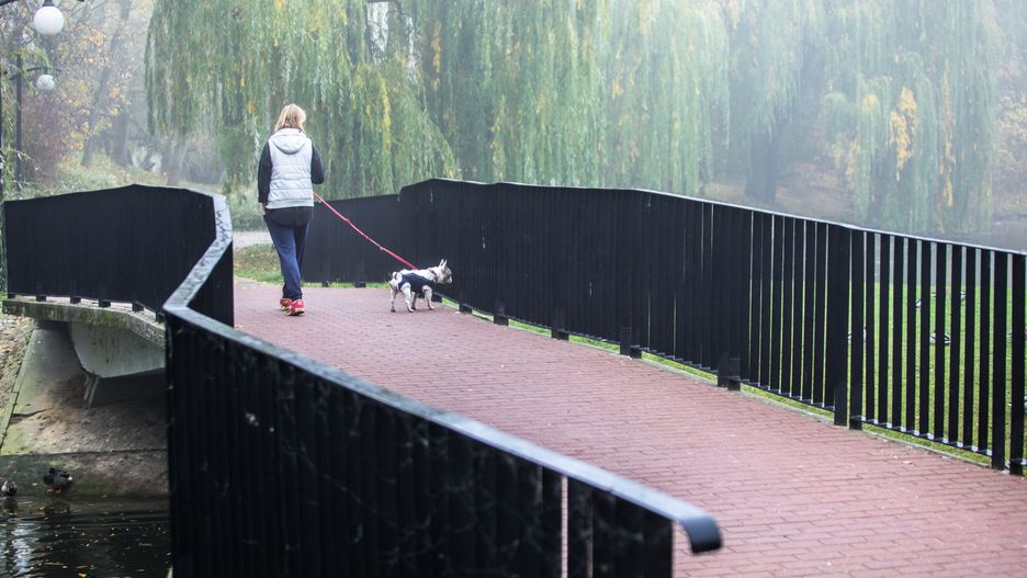 Warszawa. Park Moczydło.