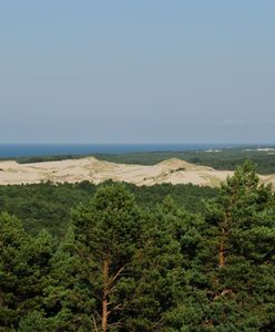 Ciało turysty w Słowińskim Parku Narodowym. To poszukiwany Duńczyk