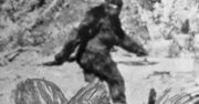 FBI odtajniło dokumenty o yeti. Zbadano kilkanaście próbek DNA
