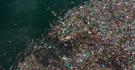 Plama plastiku na Pacyfiku gwałtownie rośnie. Badania są niepokojące