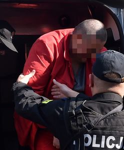 Bestialskie zabójstwo Iwony Cygan. Zatrzymano kolejne dziewięć osób