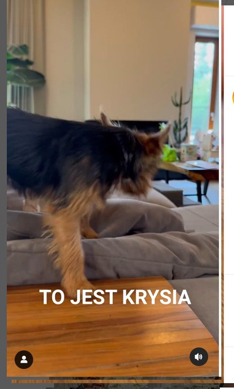 Zofia Zborowska jest w ciąży