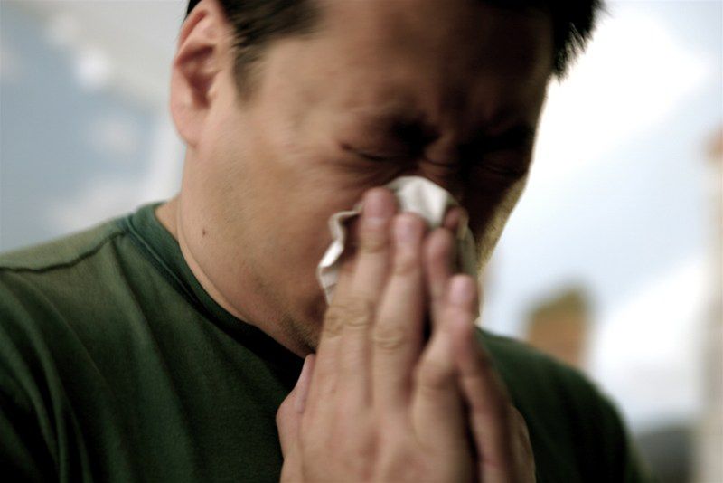 Objawy alergii na zwierzęta to m.in. katar i kichanie