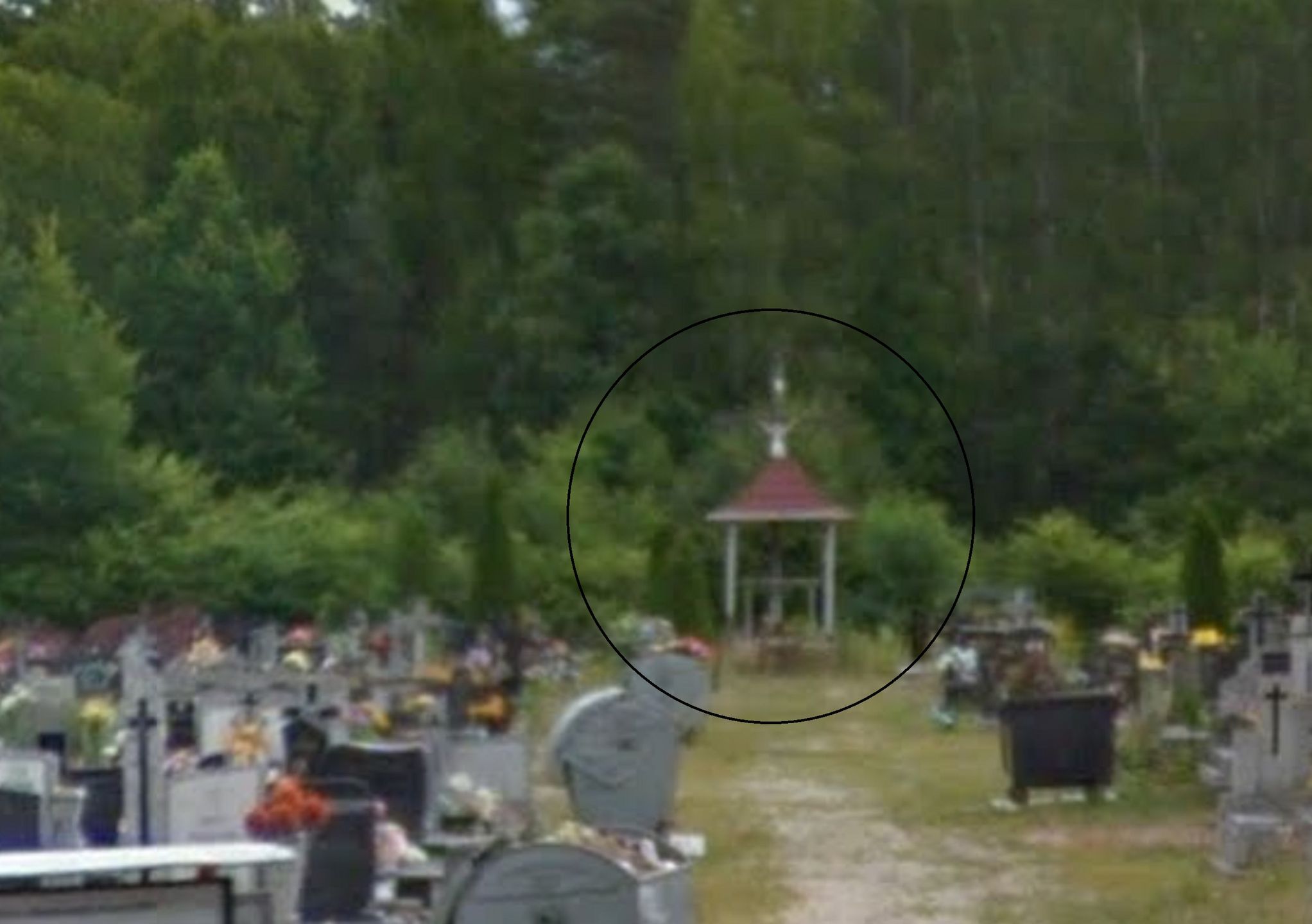 Miejsce pochówku Krzysztofa Krawczyka screen z Google Maps