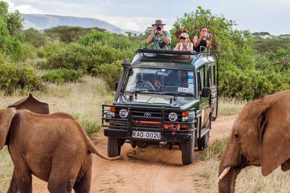 Czy safari z sześciomiesięcznym dzieckiem to dobry pomysł? Ci rodzice stwierdzili, że tak
