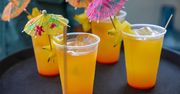 Podrobiony alkohol na Kostaryce. Umiera przez niego coraz więcej osób