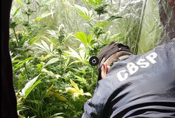 Płynna amfetamina. CBŚP zlikwidowało laboratorium