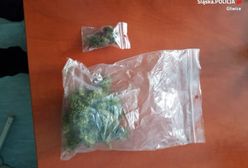 Policjanci pokazywali psa tropiącego w szkole. Zatrzymali ucznia