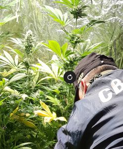 Płynna amfetamina. CBŚP zlikwidowało laboratorium