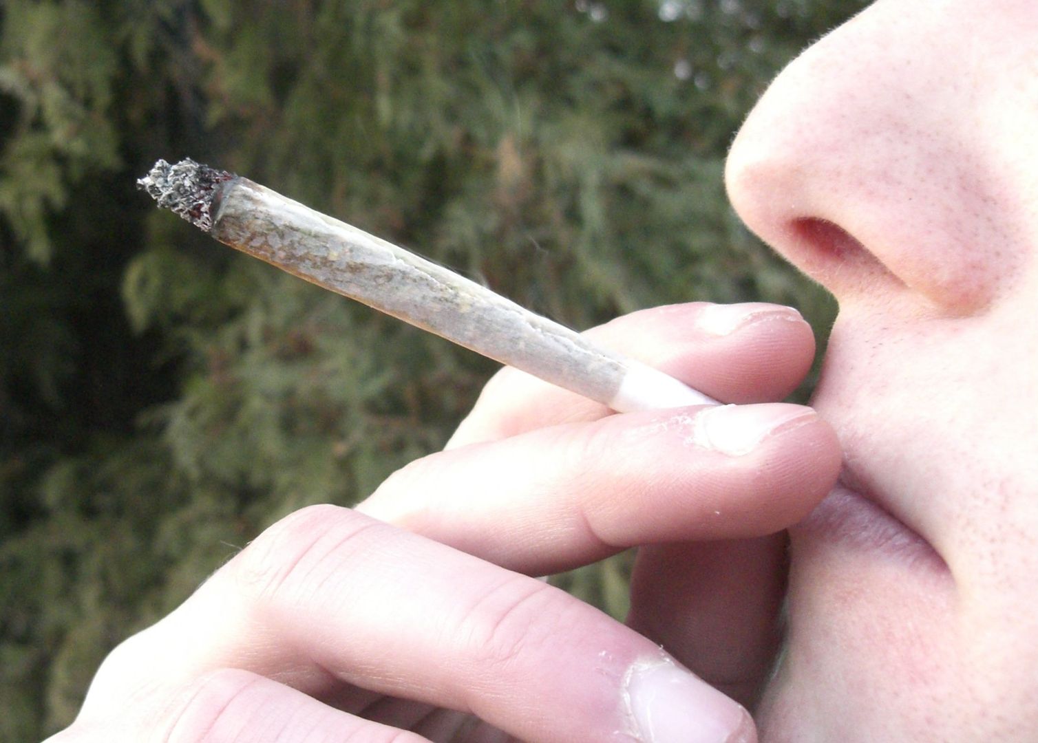 Marihuana wpływa na inteligencję nastolatków