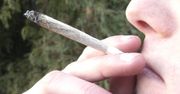 Marihuana wpływa na inteligencję nastolatków