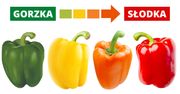 Kolor papryki decyduje nie tylko o jej smaku. Jest jeszcze jedna różnica