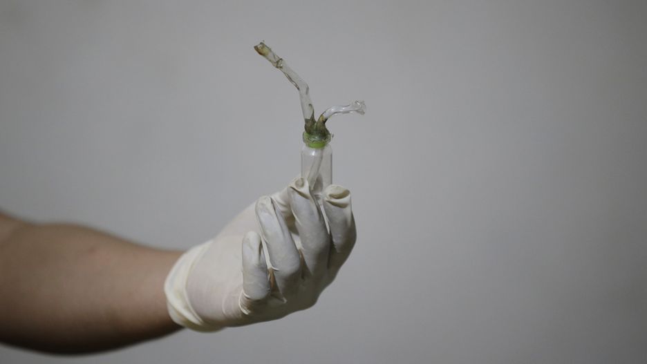 USA. 5-latka zmarła po napiciu się w wody z bonga 