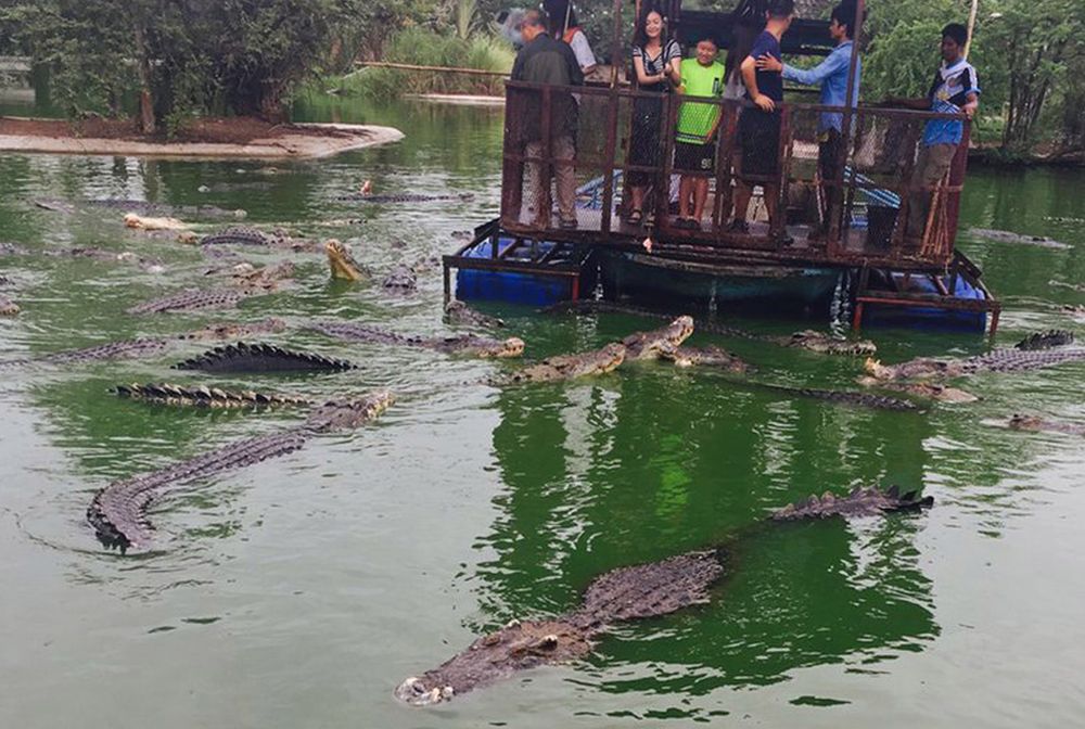 Turystyczna atrakcja dla osób z zimną krwią