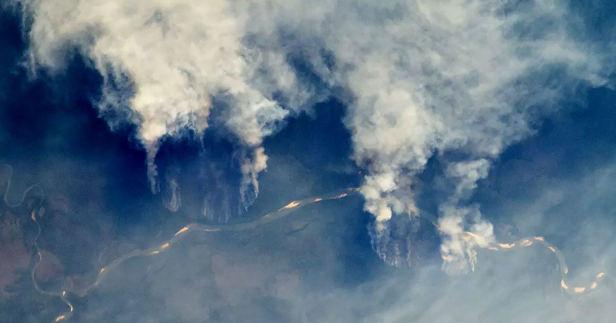 Brazylia. Pożar w Amazonii. Las deszczowy płonie, a chmurę dymu widać z kosmosu [Zdjęcia, wideo]