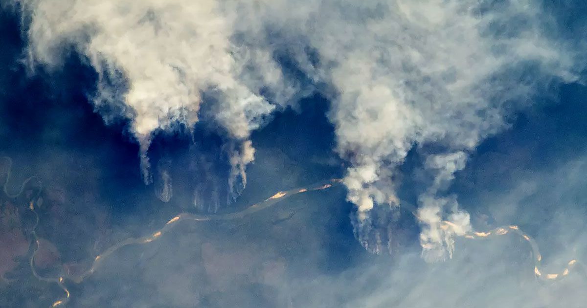 Amazonia i Afryka płoną - czy te zjawiska można porównać? Co pożary oznaczają dla klimatu