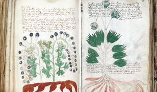 Manuskrypt Wojnicza rozszyfrowany