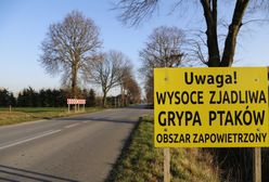Opolskie. Ptasia grypa zlokalizowana w jednym z gospodarstw