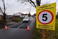 Ptasia grypa w Wielkopolsce. W gospodarstwach padło 30 tys. kaczek