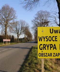 Opolskie. Ptasia grypa zlokalizowana w jednym z gospodarstw