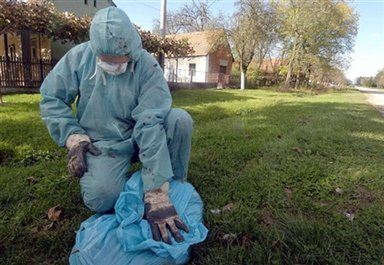 Drugie ognisko ptasiej grypy potwierdzone w Chorwacji