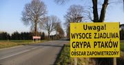 Opolskie. Ptasia grypa zlokalizowana w jednym z gospodarstw