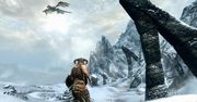 The Elder Scrolls V: Skyrim - wymagania sprzętowe